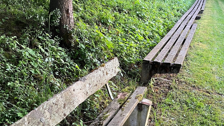 Erneuerung der Außenanlagen am Sportgelände des SV Niederhofen-Ehingen